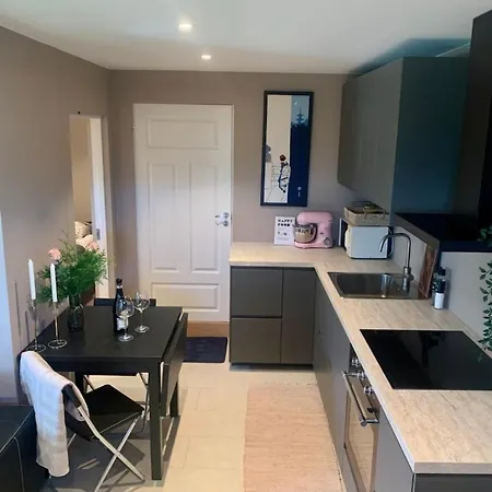 Lejlighed Panoramaview Modern - Drammen